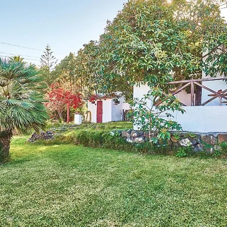 Casa Pinos Holiday home Icod De Los Vinos